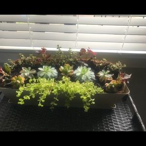 Meet your Posher, Mindy